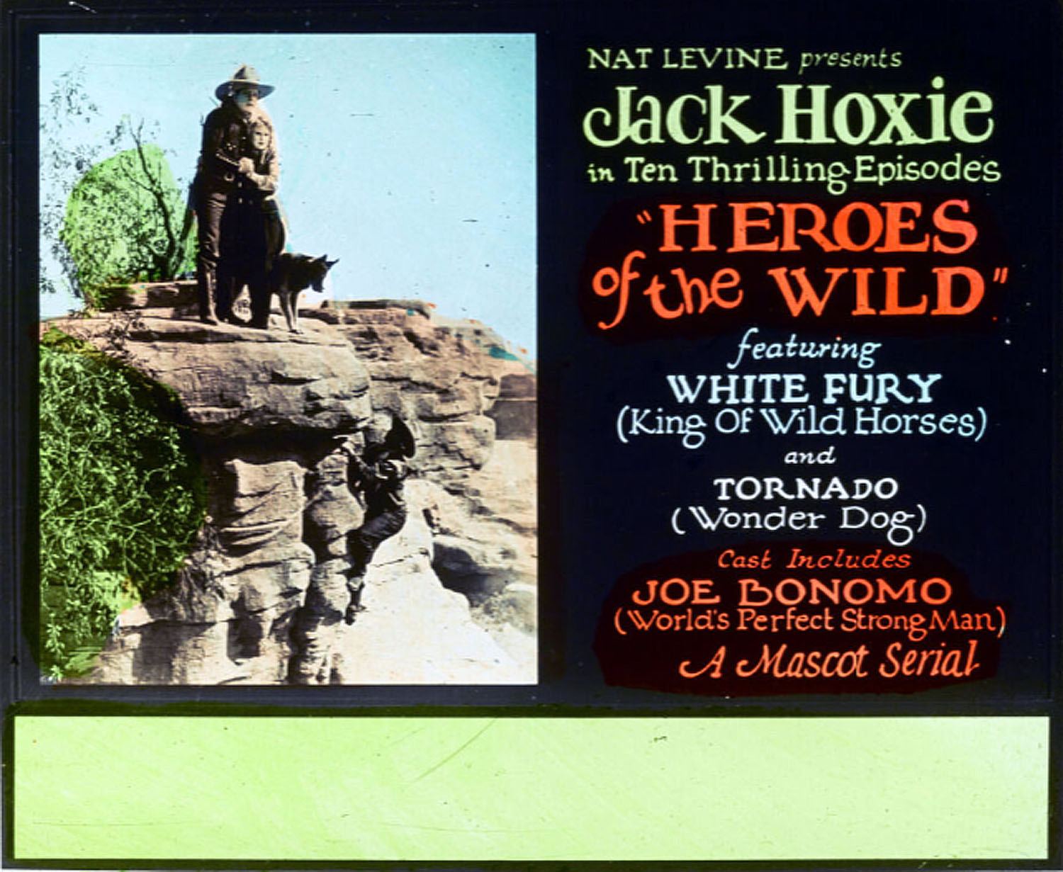 HEROES OF THE WILD